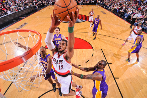 哈兰德的加 哈兰德的加