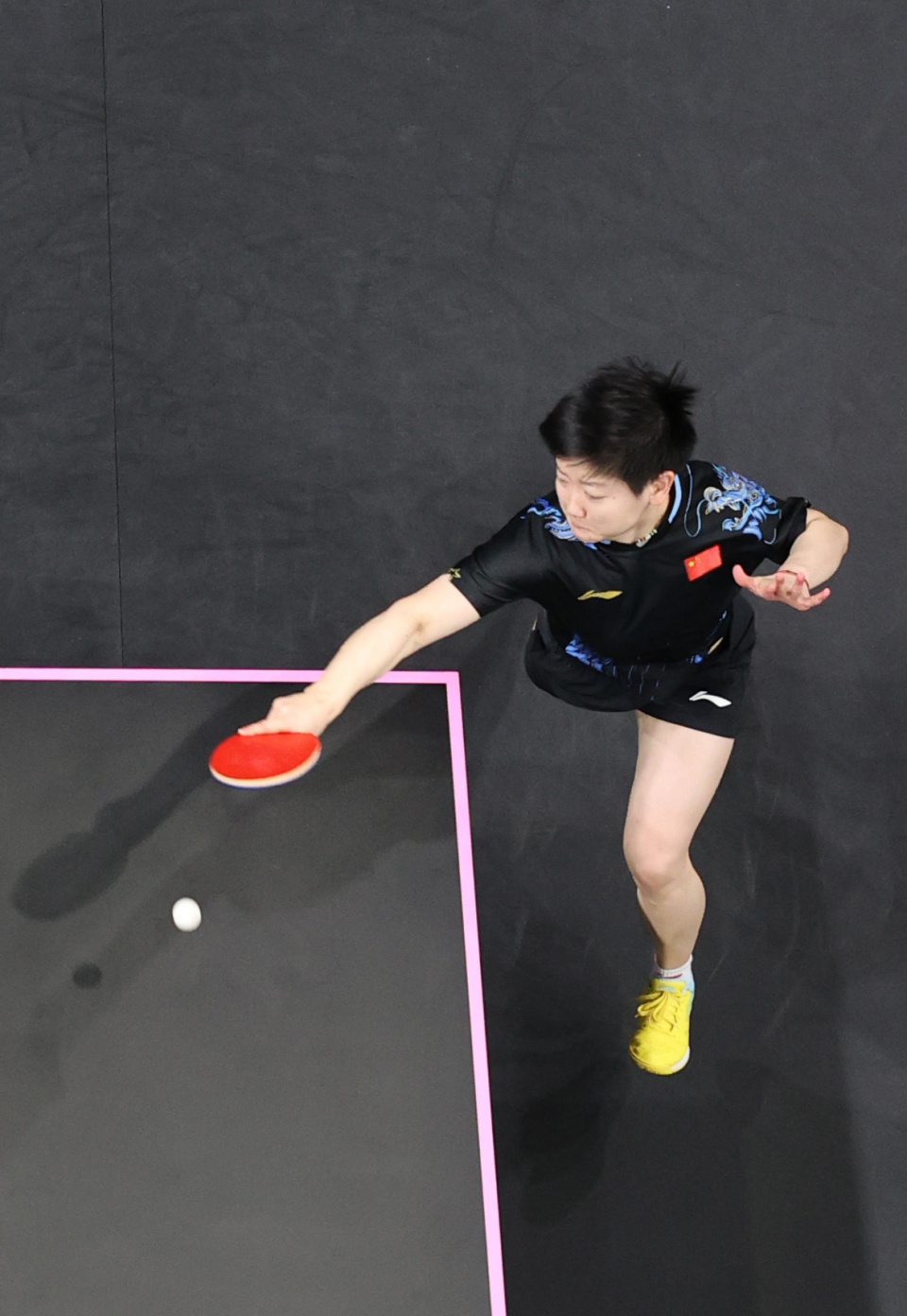 在他们辉煌 在他们辉煌