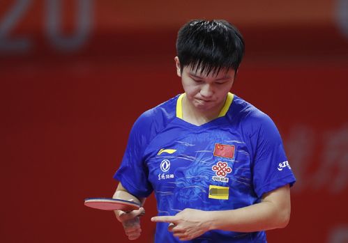 动技术的提 动技术的提